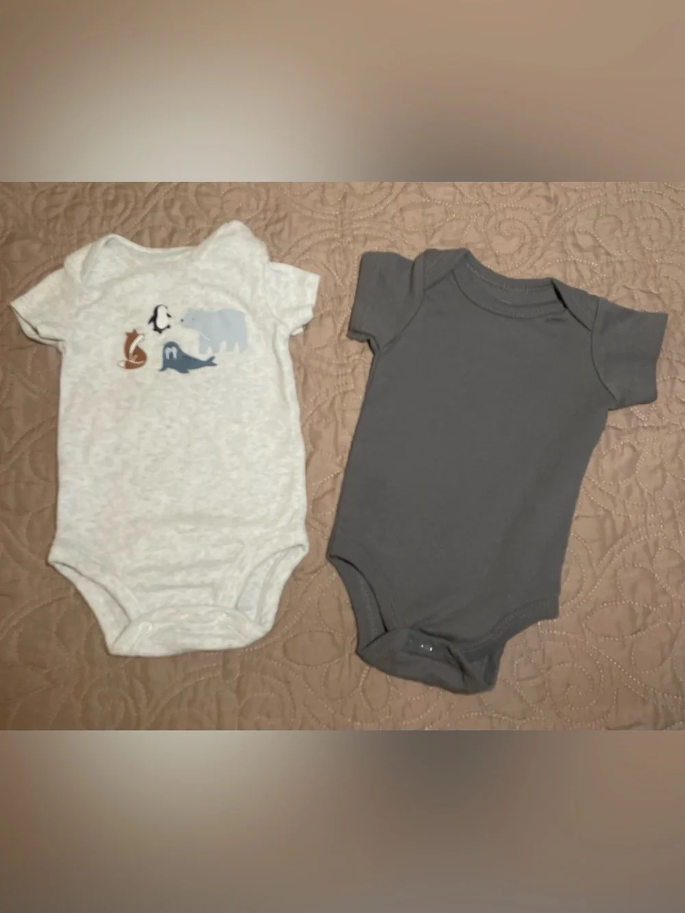 Carters light blue